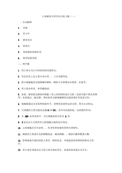 人体解剖生理学综合练习题