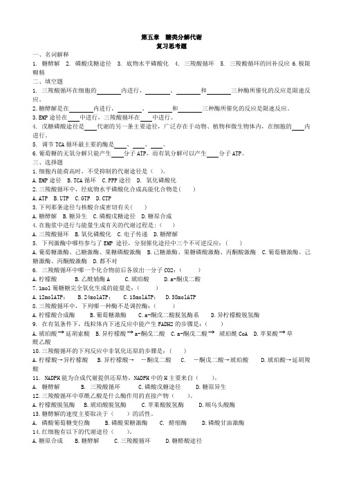 第五章  糖类分解代谢作业萧蓓蕾