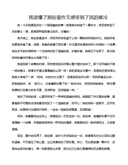 我读懂了那份爱作文感受到了风的寒冷