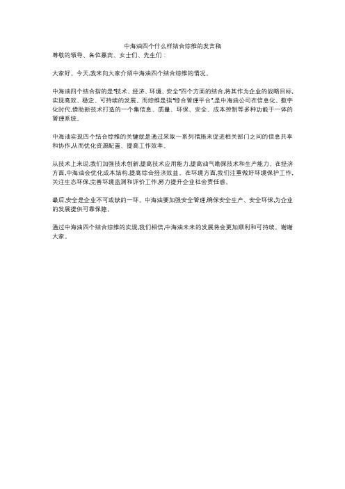 中海油四个什么样结合综维的发言稿