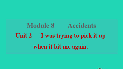 Module8AccidentsUnit2Iwastryingtopickitupwhenitbit