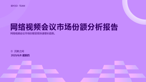 2023年网络视频会议业分析报告