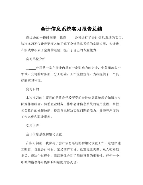 会计信息系统实习报告总结