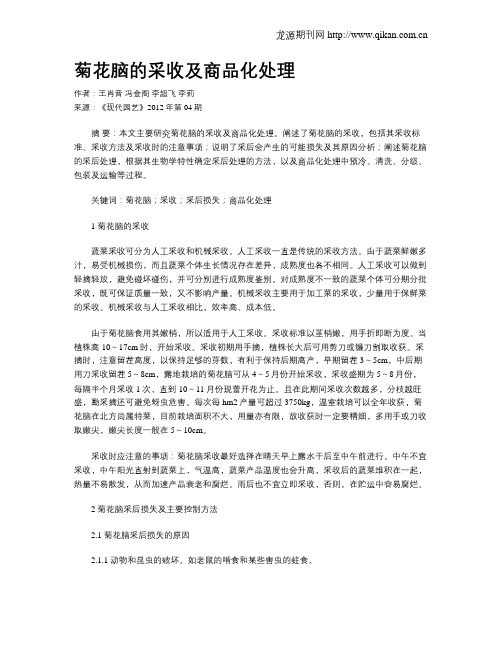 菊花脑的采收及商品化处理
