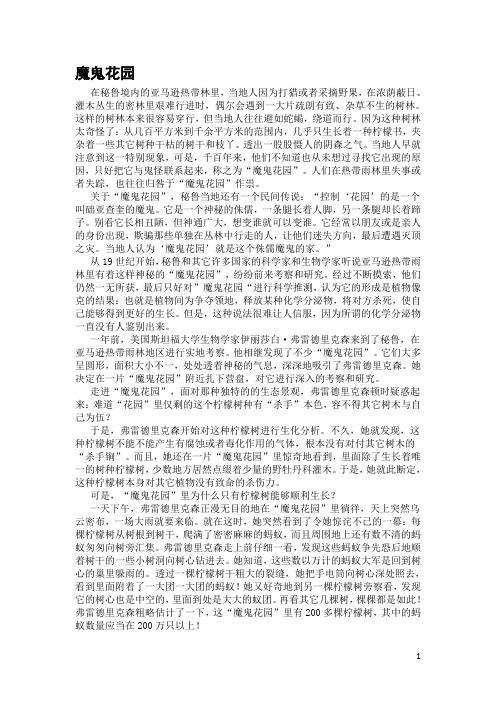 魔鬼花园