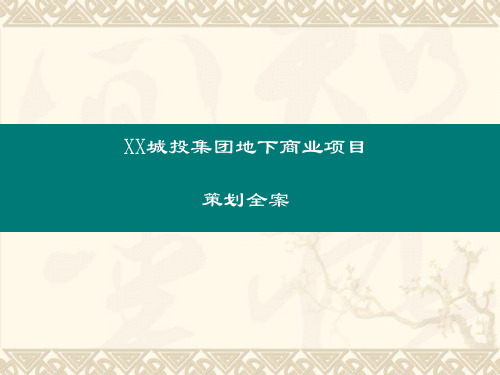 2021年某集团地下商业项目策划全案PPT课件