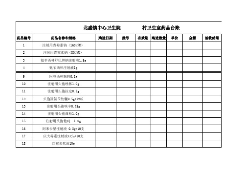 村卫生室药品台账 