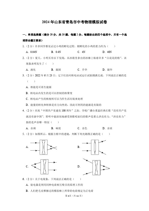 2024年山东省青岛市中考物理模拟试卷及答案解析