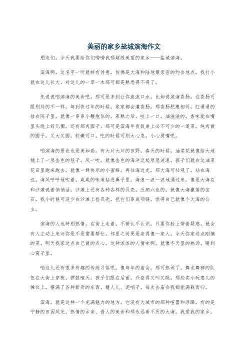 美丽的家乡盐城滨海作文