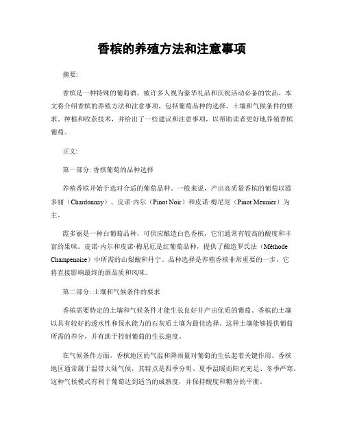 香槟的养殖方法和注意事项