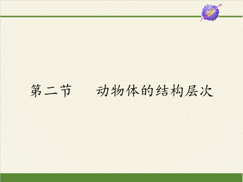 人教版七年级上册 生物  .2动物体的结构层次课件