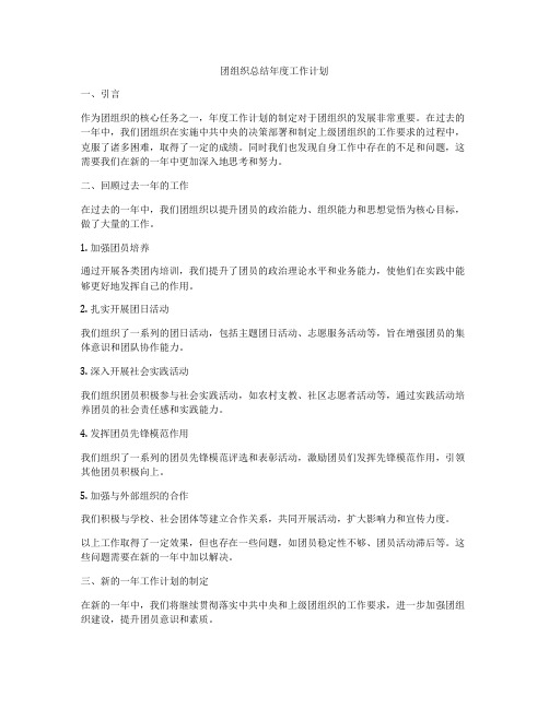 团组织总结年度工作计划