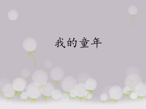 《我的童年》课件
