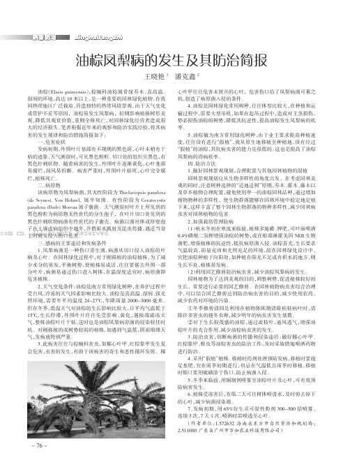 油棕凤梨病的发生及其防治简报