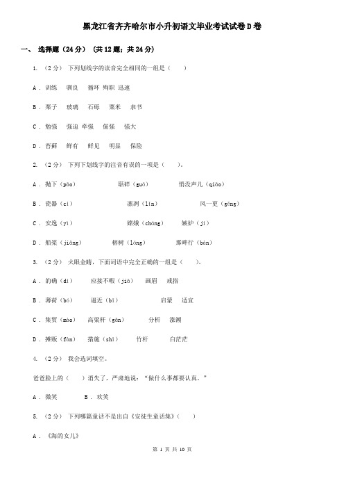 黑龙江省齐齐哈尔市小升初语文毕业考试试卷D卷