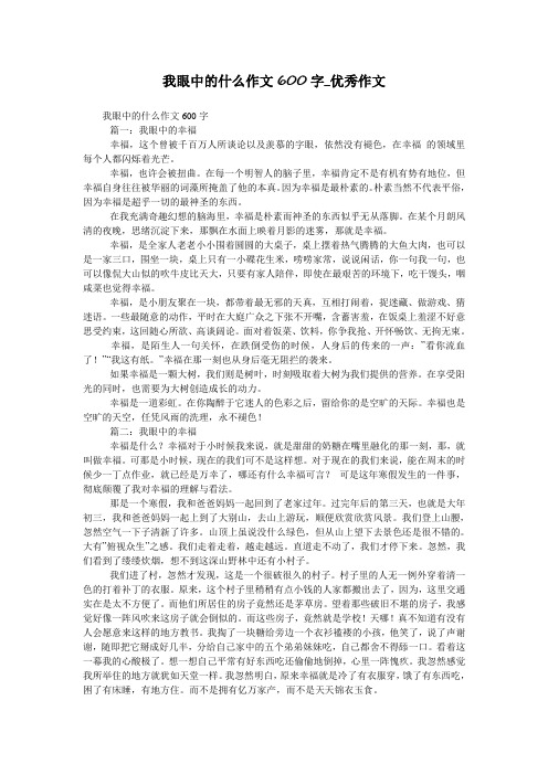 我眼中的什么作文600字_优秀作文