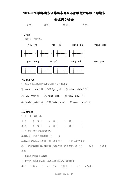 2019-2020学年山东省潍坊市寿光市部编版六年级上册期末考试语文试卷(含答案解析)