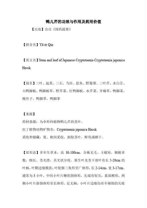 鸭儿芹的功效与作用及药用价值