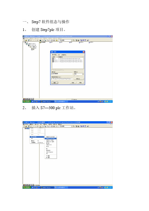 Step7--300软件组态与操作