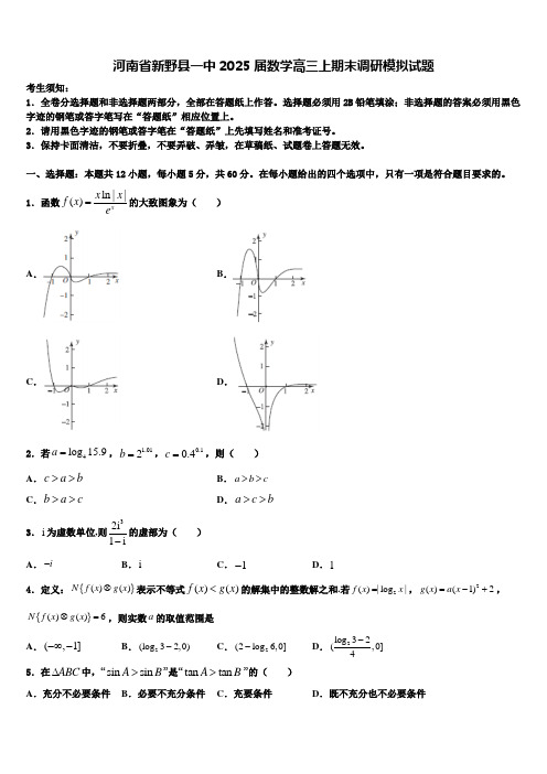 河南省新野县一中2025届数学高三上期末调研模拟试题含解析