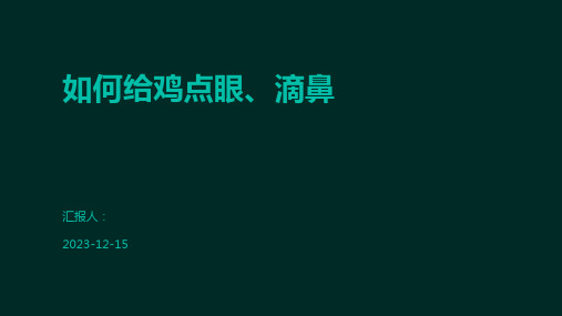 如何给鸡点眼、滴鼻