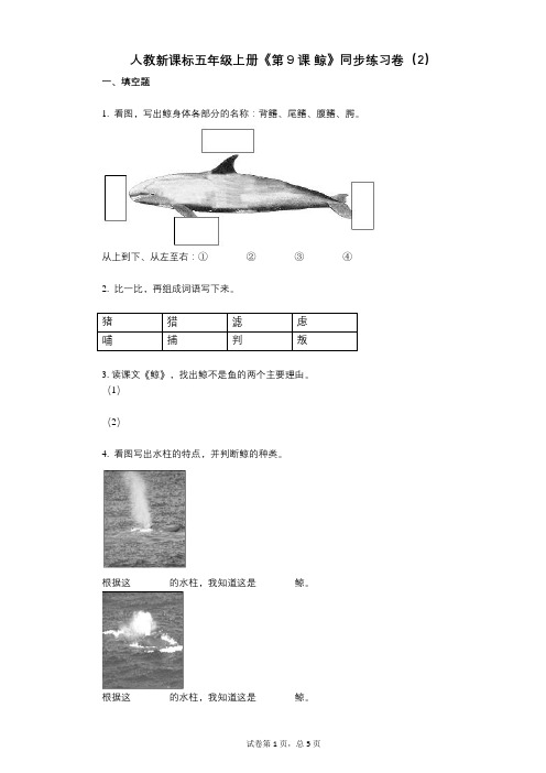 人教新课标五年级上册《第9课_鲸》小学语文-有答案-同步练习卷(2)
