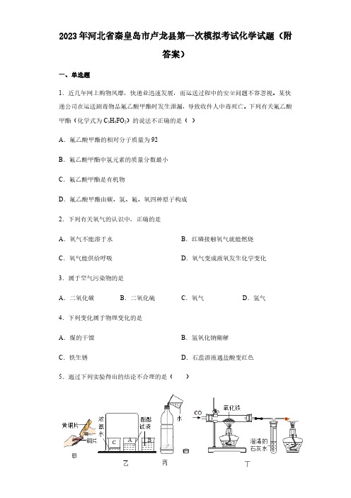 2023年河北省秦皇岛市卢龙县中考第一次模拟考试化学试题(word  含解析)