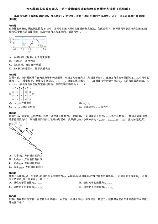 2024届山东省威海市高三第二次模拟考试理综物理高频考点试卷(强化版)