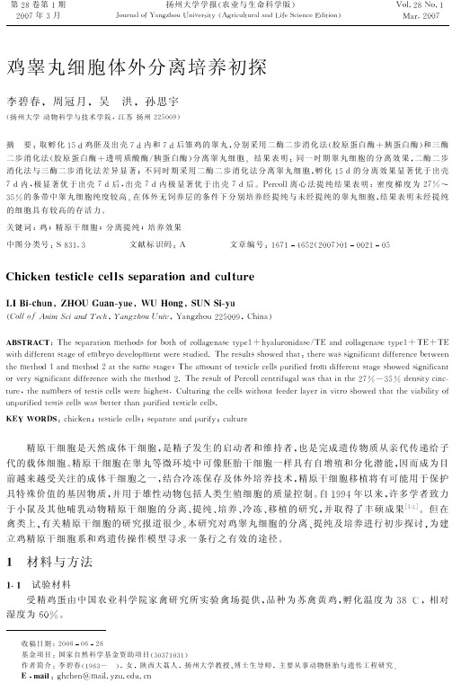 鸡睾丸细胞体外分离培养初探