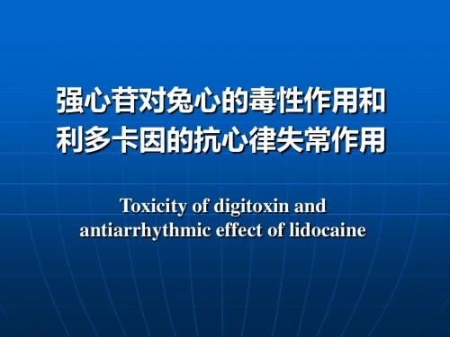 7  强心苷对兔心的毒性作用和利多卡因的抗心律失常作用