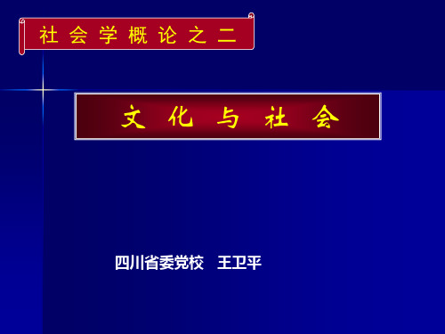 社会学文化与社会