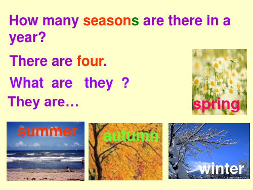 Lesson 6 Which season do you like best课件
