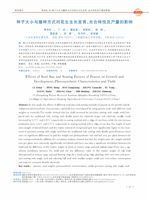 种子大小与播种方式对花生生长发育、光合特性及产量的影响