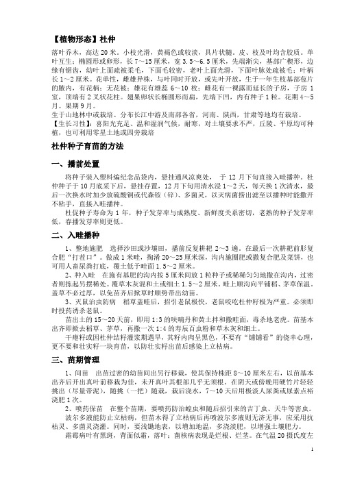 杜仲种植方法