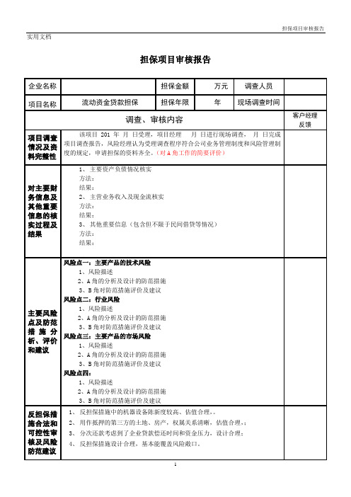 风险审核报告模板