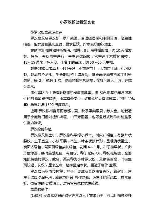 小罗汉松盆栽怎么养