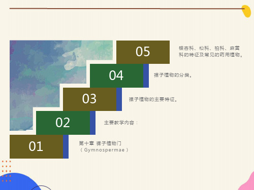 药用植物学-第10章-裸子植物门