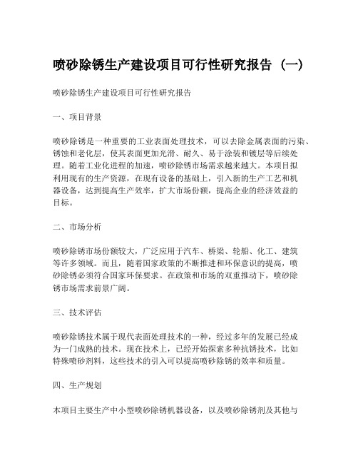 喷砂除锈生产建设项目可行性研究报告 (一)