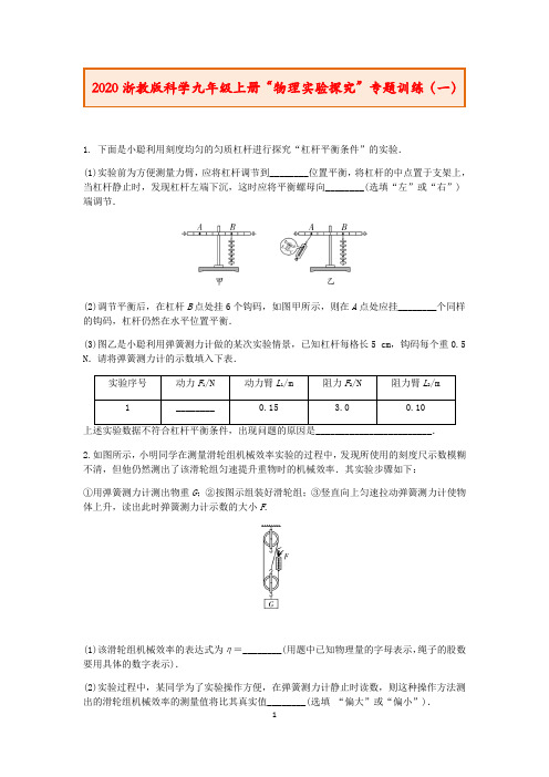 2020浙教版科学九年级上册“物理实验探究”专题训练(一)及答案