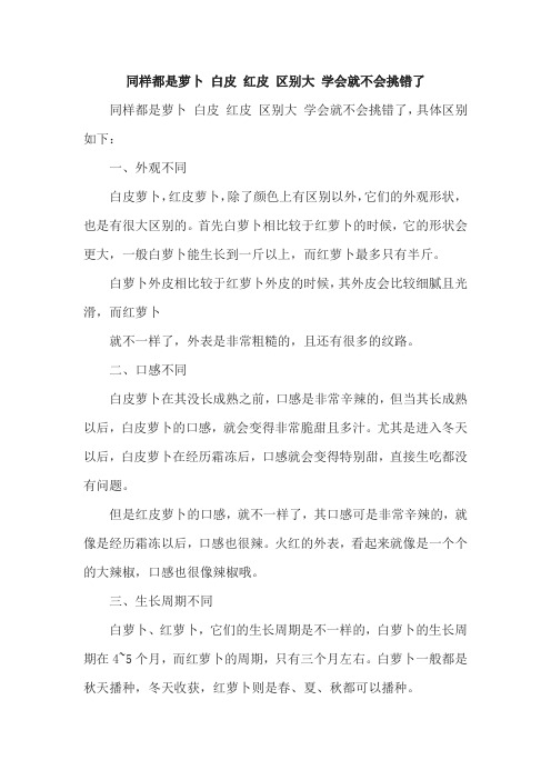 同样都是萝卜 白皮 红皮 区别大 学会就不会挑错了