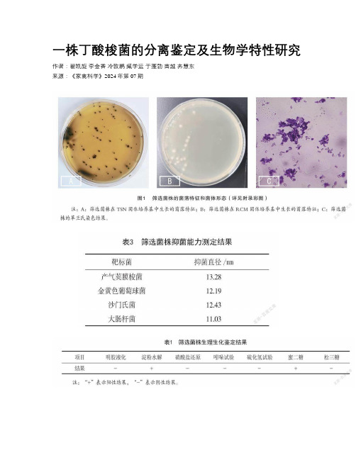 一株丁酸梭菌的分离鉴定及生物学特性研究