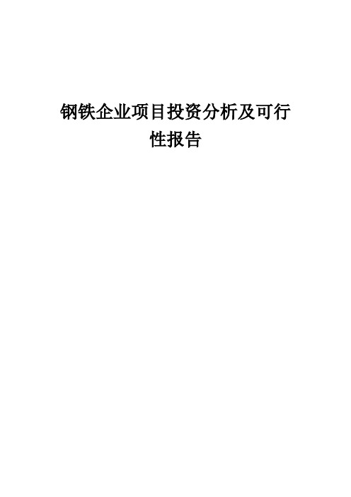 2024年钢铁企业项目投资分析及可行性报告