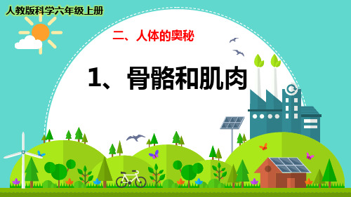 最新2021-2022人教版科学六年级上册《骨骼和肌肉》优质课件