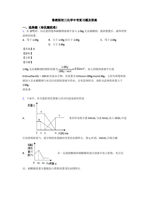 鲁教版初三化学中考复习题及答案