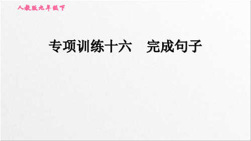 人教版九年级英语下册 中考复习 专项训练十六 完成句子