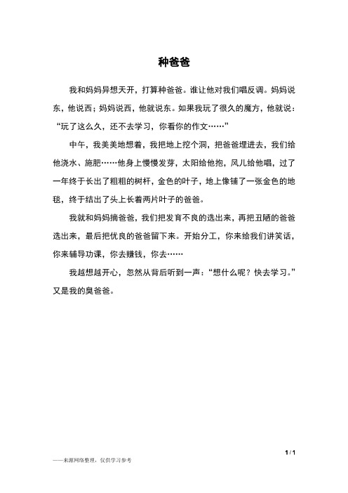 种爸爸_二年级作文