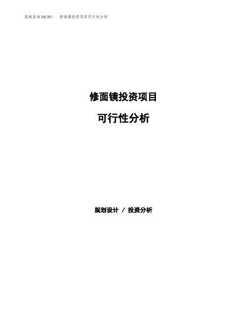 修面镜投资项目可行性分析