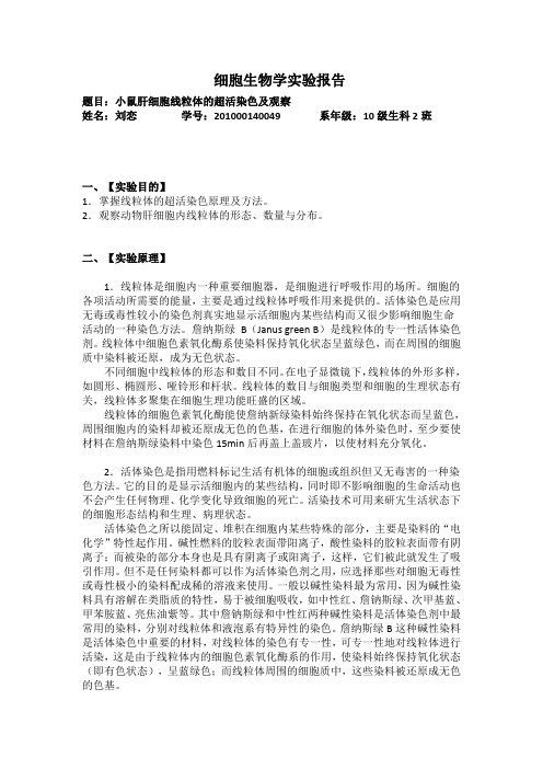 小鼠肝细胞线粒体的超活染色及观察实验报告