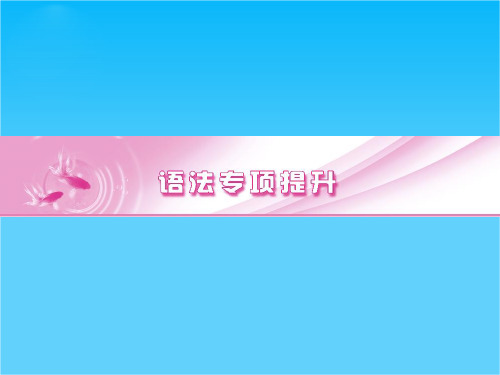 《金版新学案》高三一轮(人教版)英语【安徽专版】语法专项提升名词 精品课件