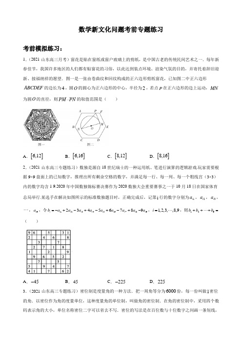 高考数学-数学新文化问题考前专题练习